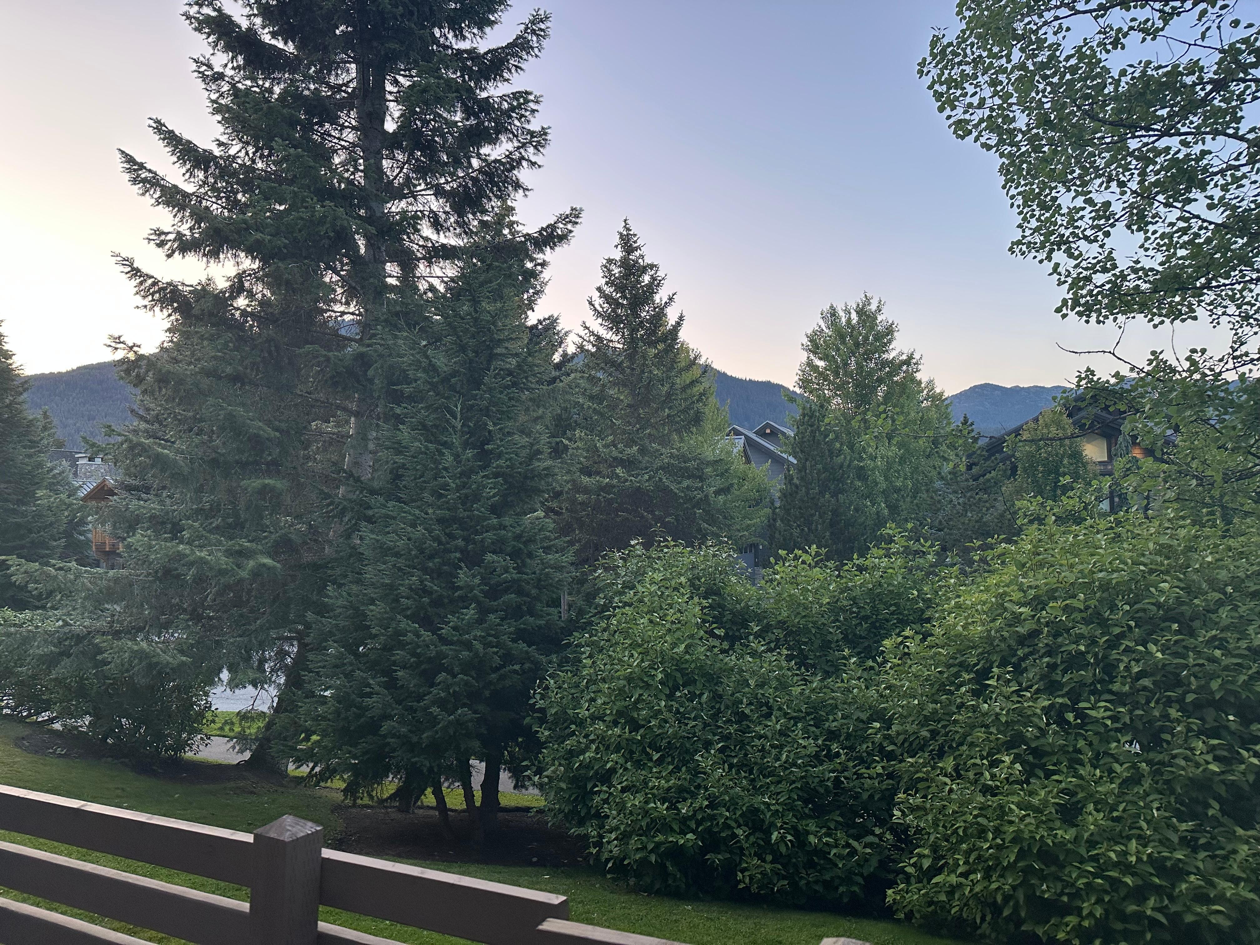 View from back deck