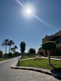 Peaceful and relaxing environment!