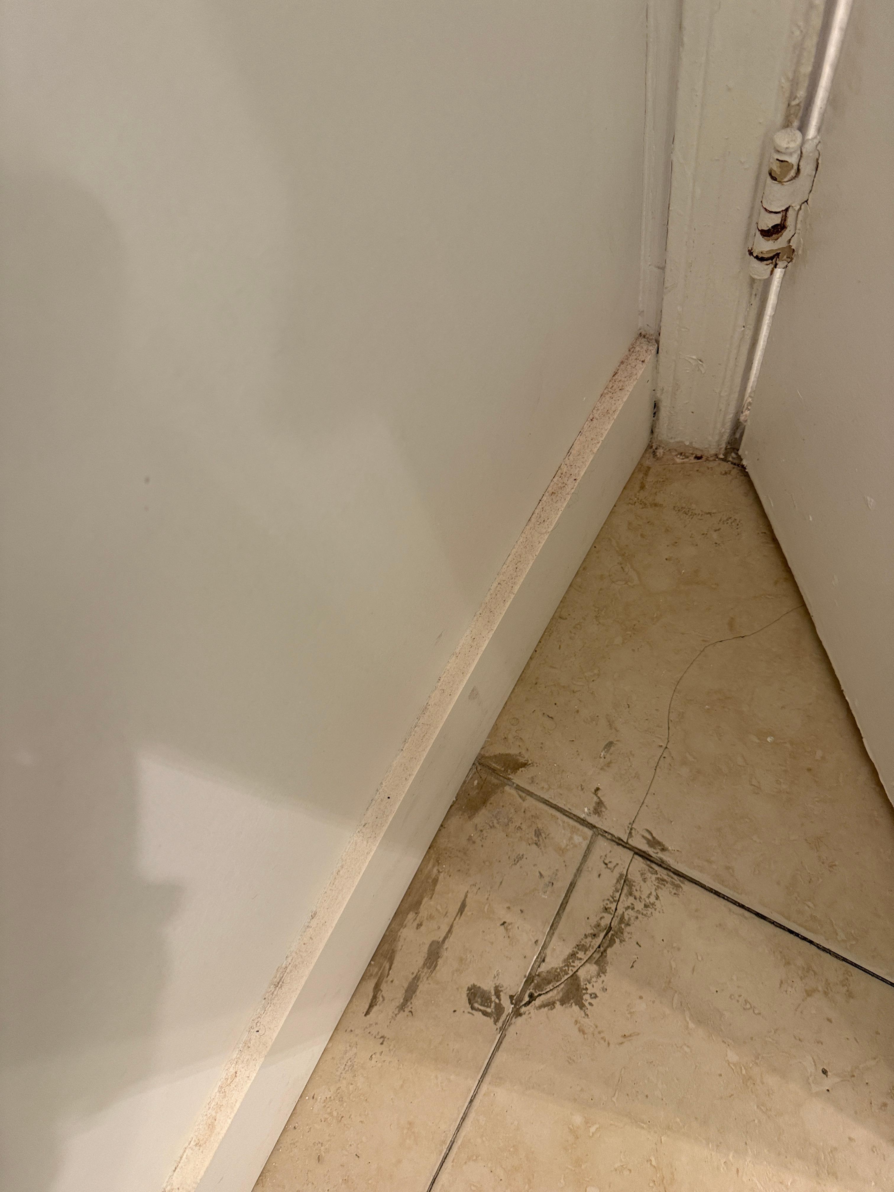 needs deep cleaning...