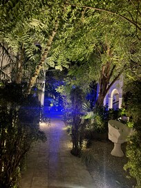 beautiful look at might