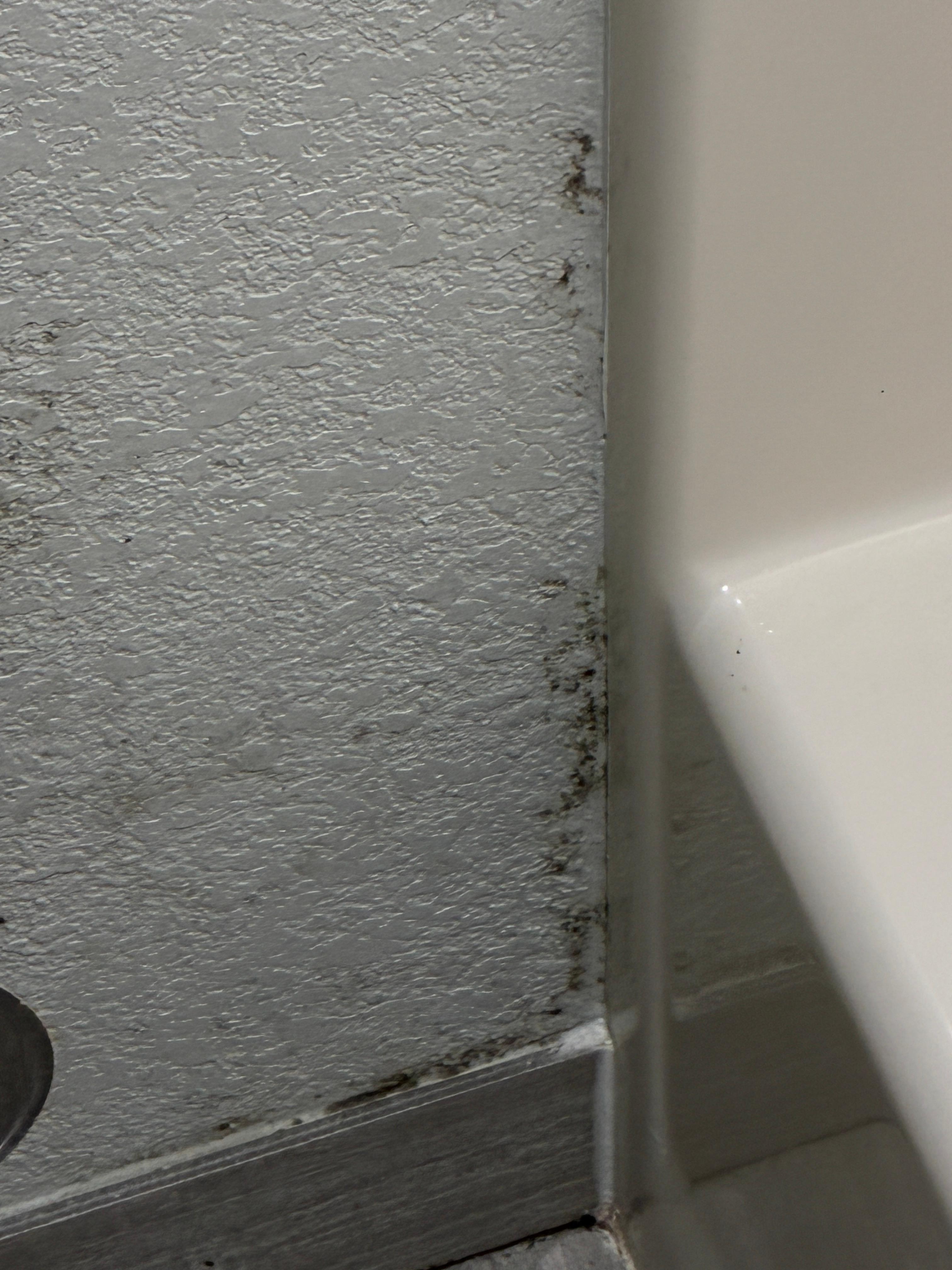Mold in the bathroom