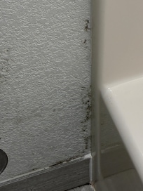 Mold in the bathroom