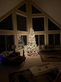 Christmas tree was outstanding