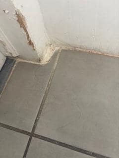 Hair on the floor when we arrived