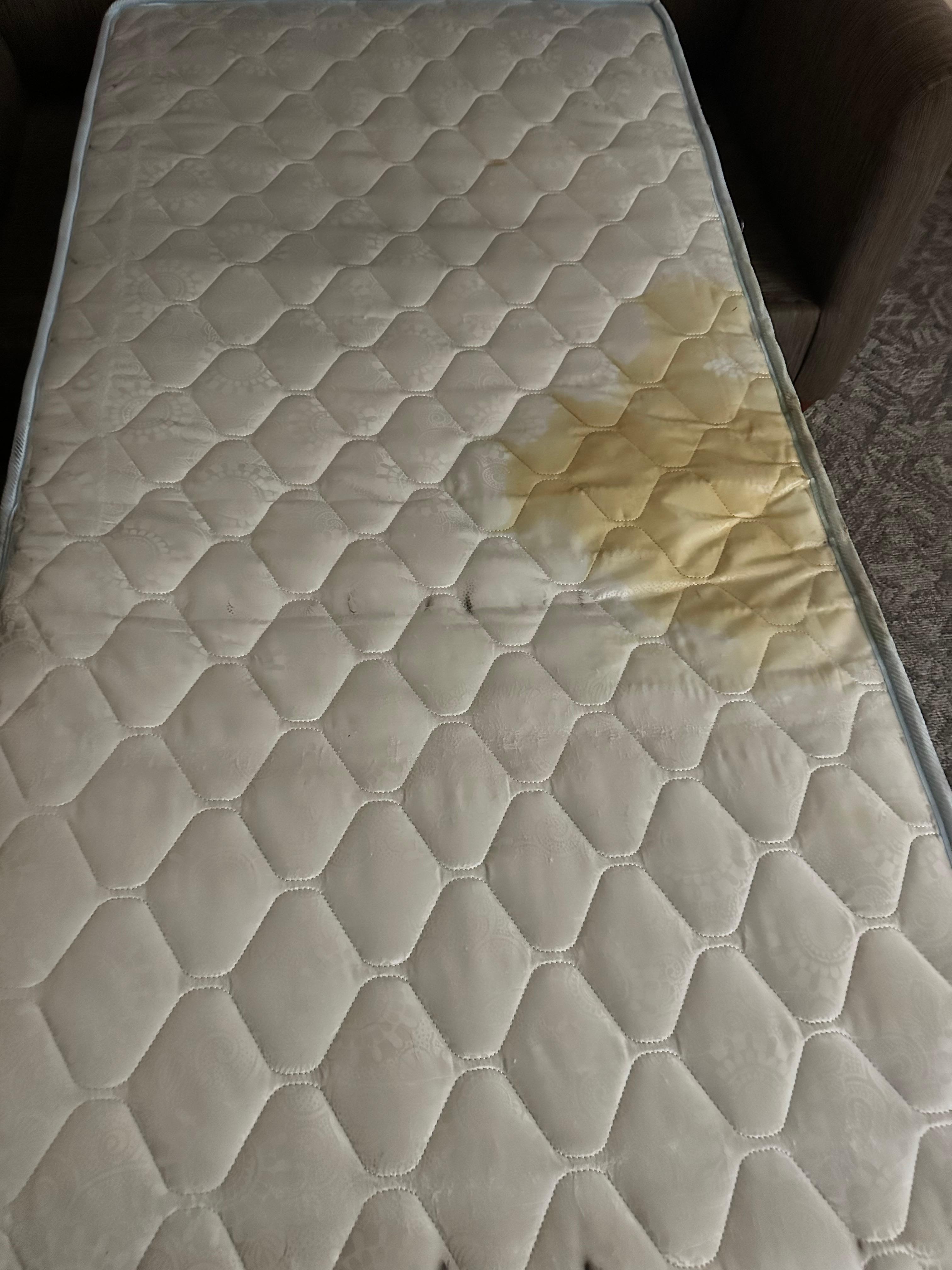Filthy pull out mattress. The room smelled badly because of whatever the stain was….