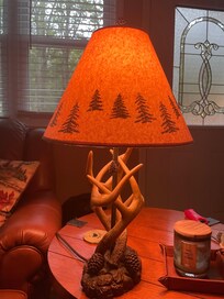 Cool Antler lamp