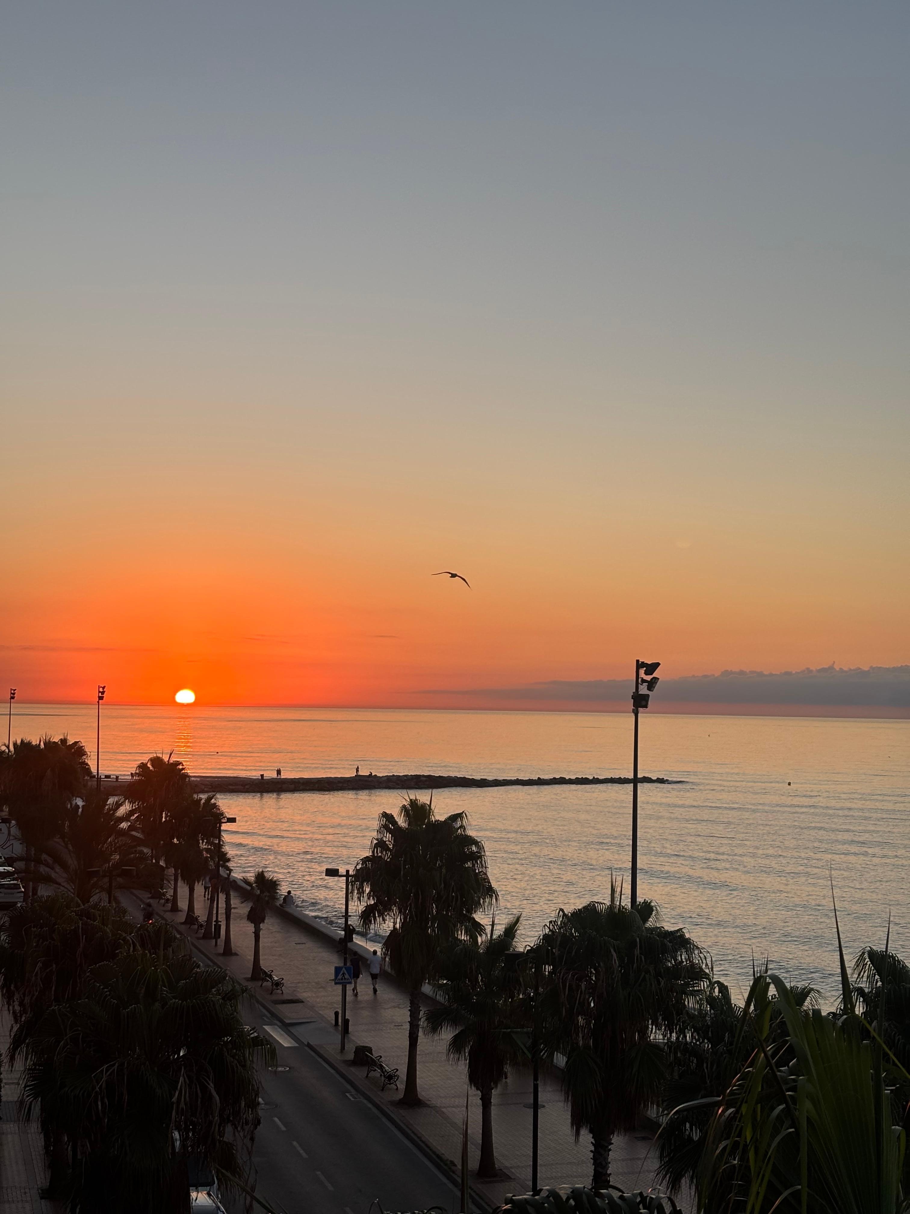 Fantastiska soluppgångar 