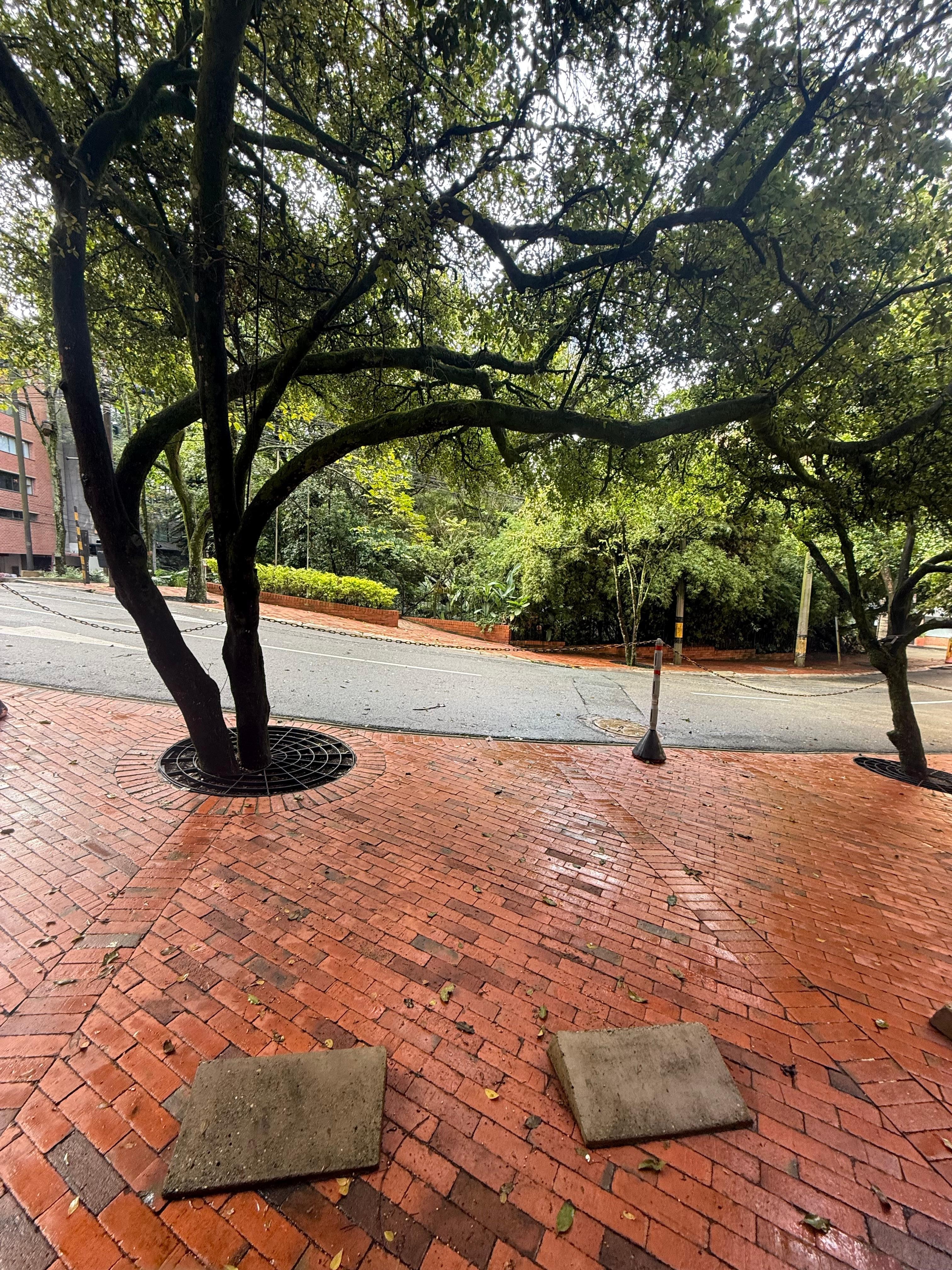 View from the restaurant patio.  Quiet Medellin mornings.