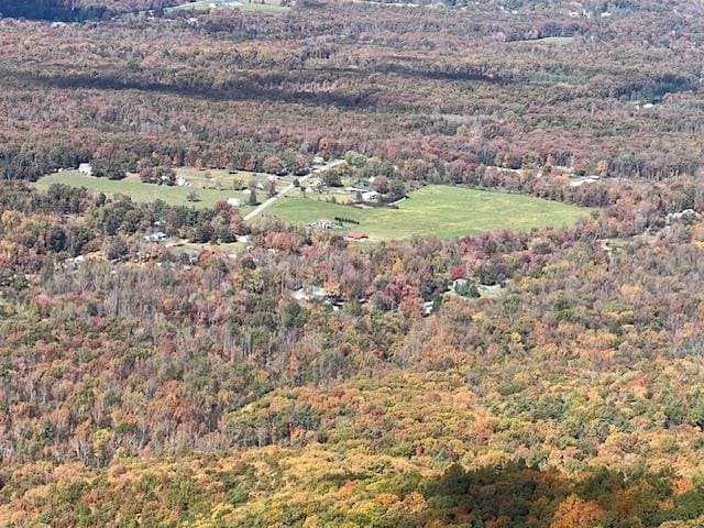 View into the valley from the Blue Ridge Parkway. 