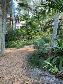 Trail to the pool steps away.