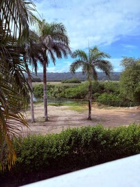 “Mountain view” and river. Would explain the mosquitoes