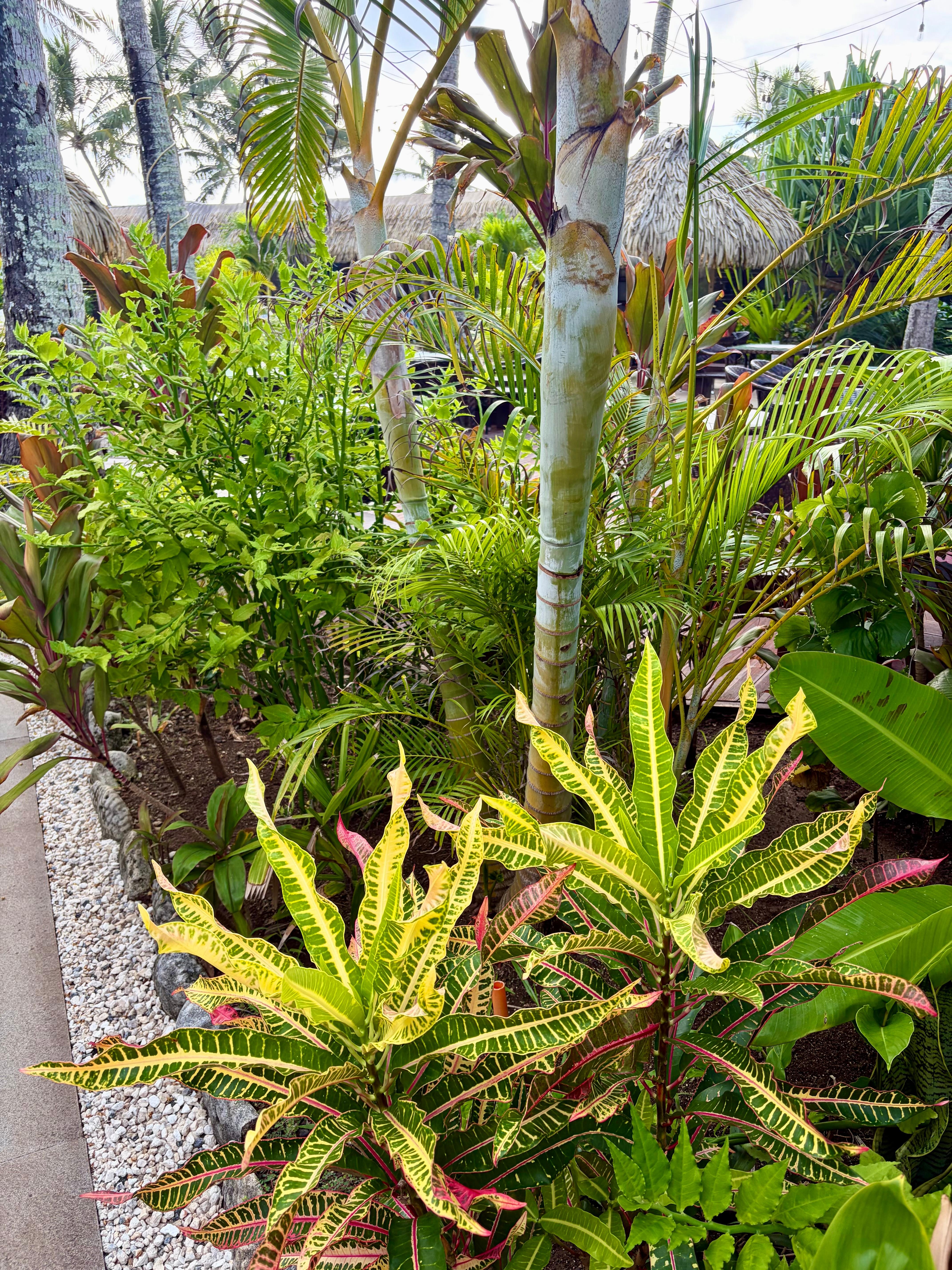 Beautiful gardens. 