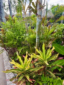 Beautiful gardens.