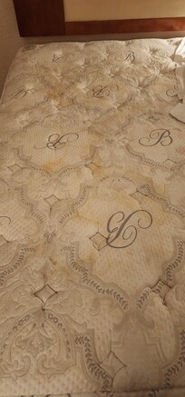 UNACCEPTABLE, DISCUSTING, STAINED, UNHEALTHY, FILTHY