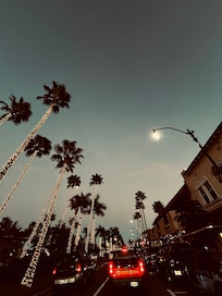 Downtown Venice
