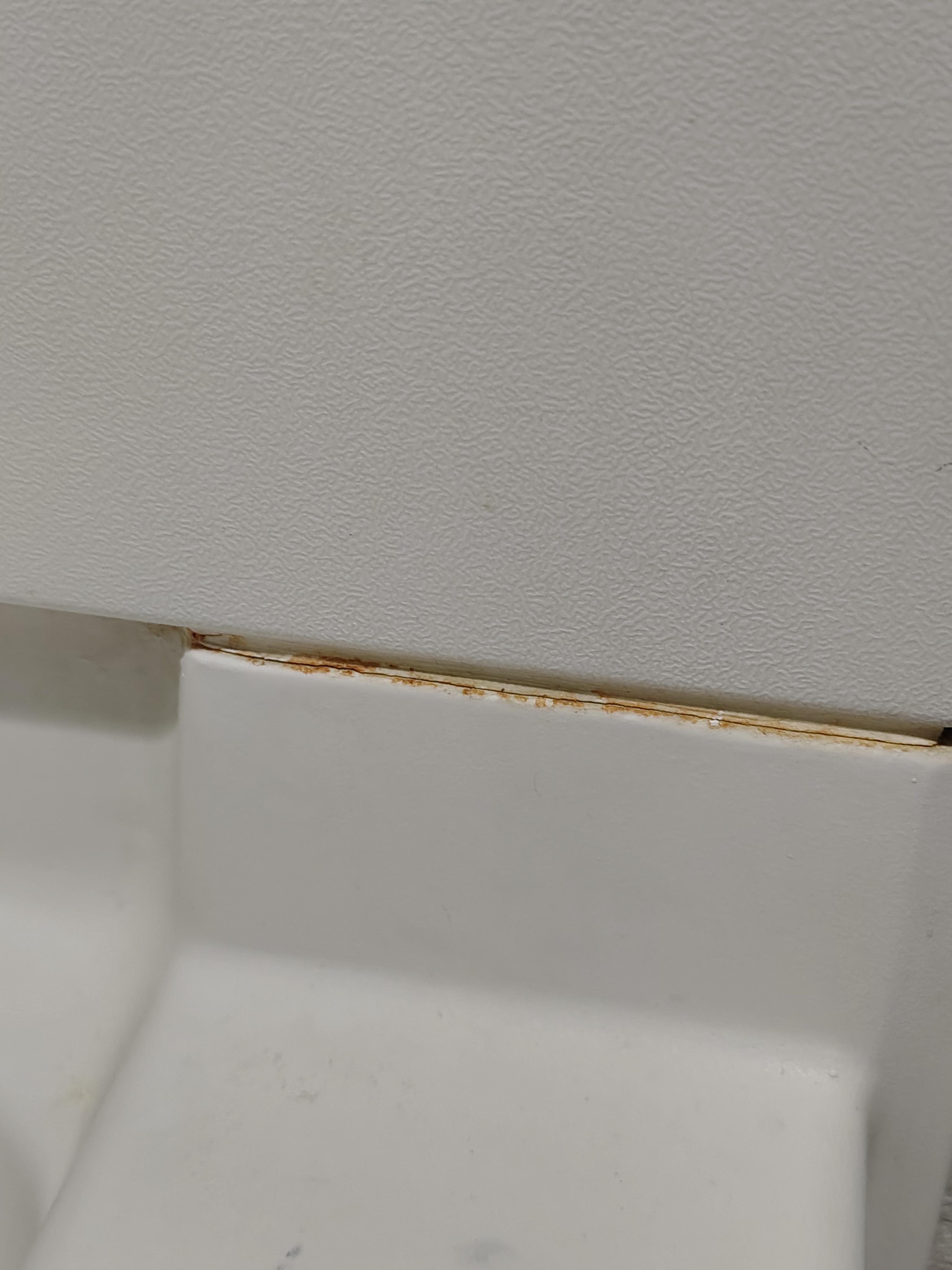 Mildew/mold on the tub/shower 