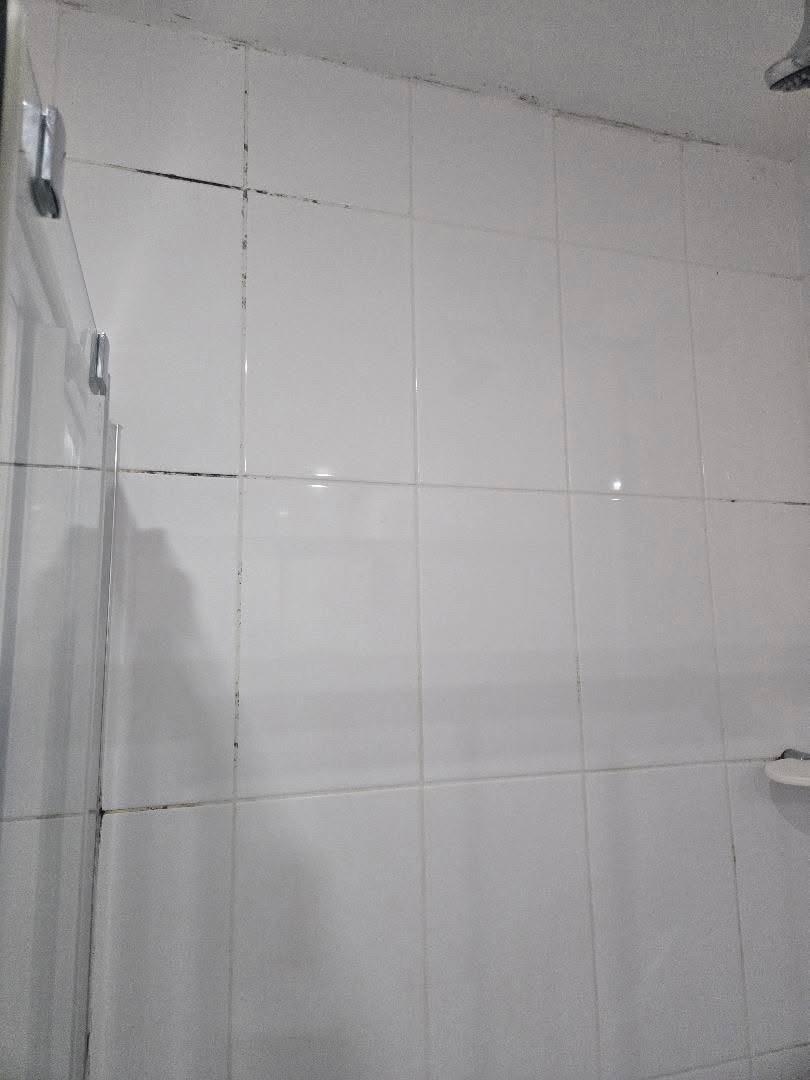 Mildew in shower