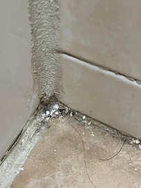 Bathroom floor