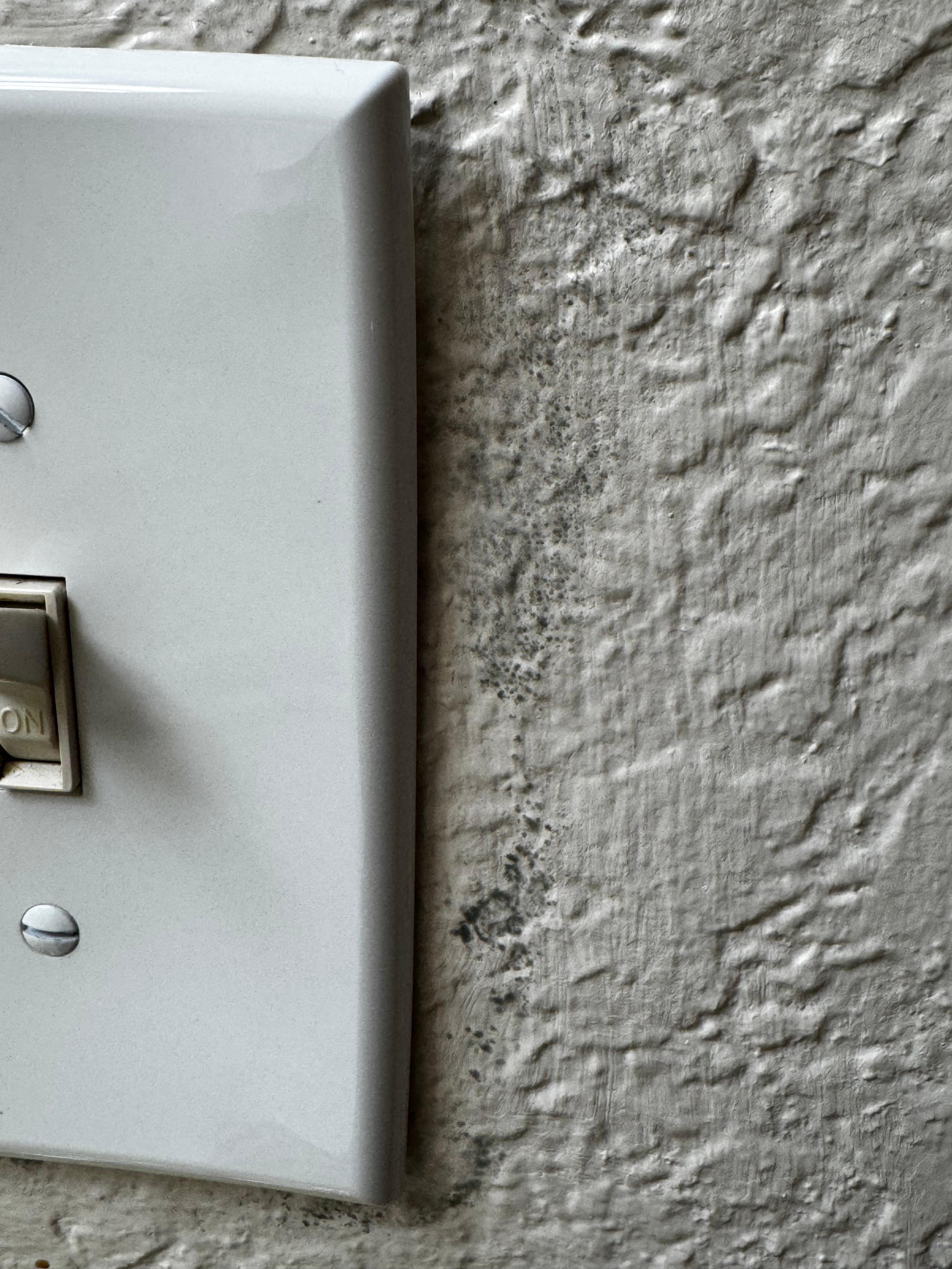 Closer view of mold around light switches.