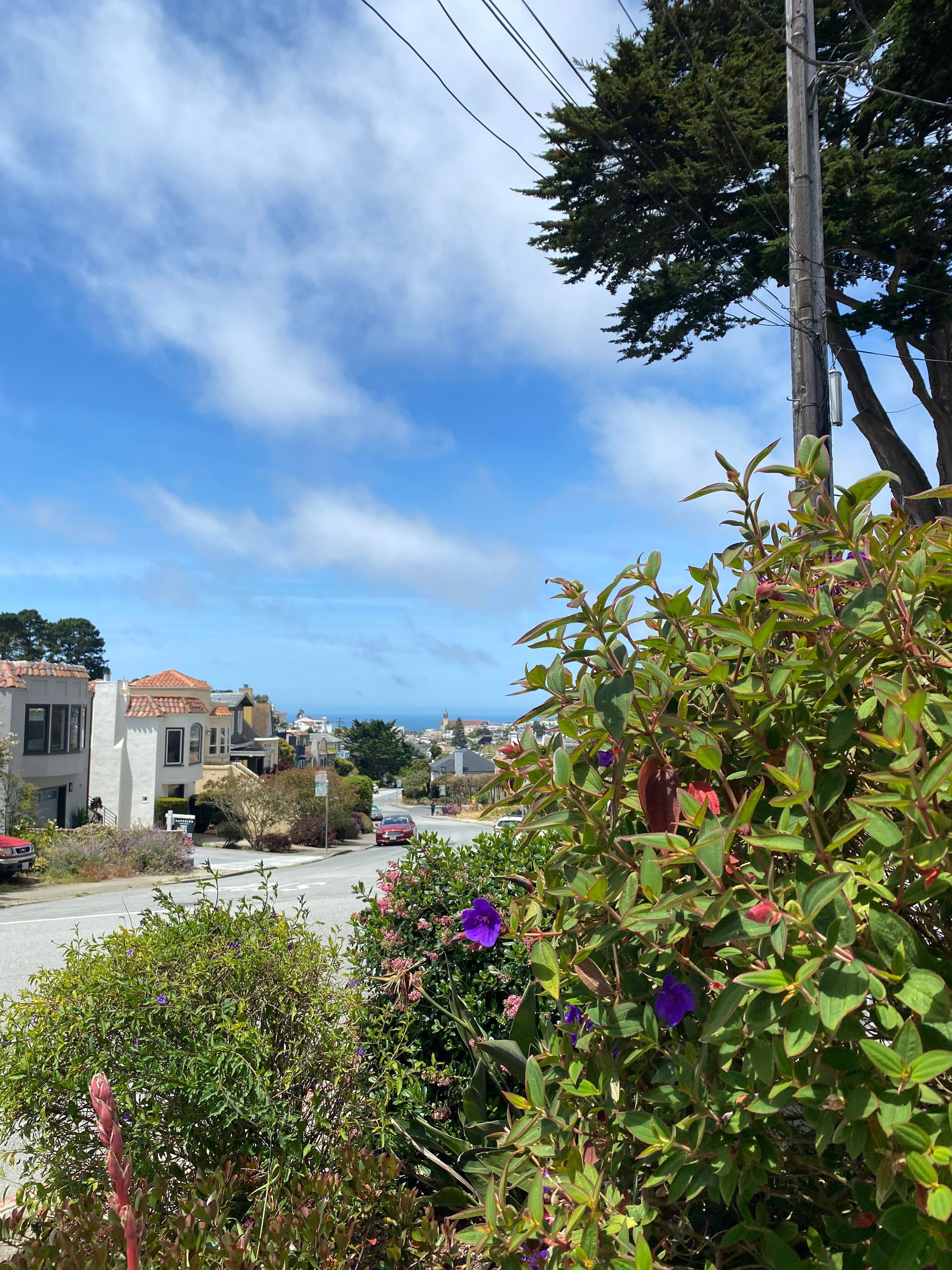 Glimpse of the ocean from the front yard.