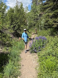 On the Nature trail that starts at the Snowmass Mall, close to the condo.