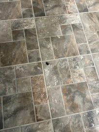 10 roach on floor when we arrived