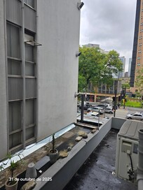 Vista da minha janela