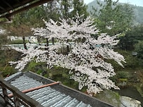 房間窗外