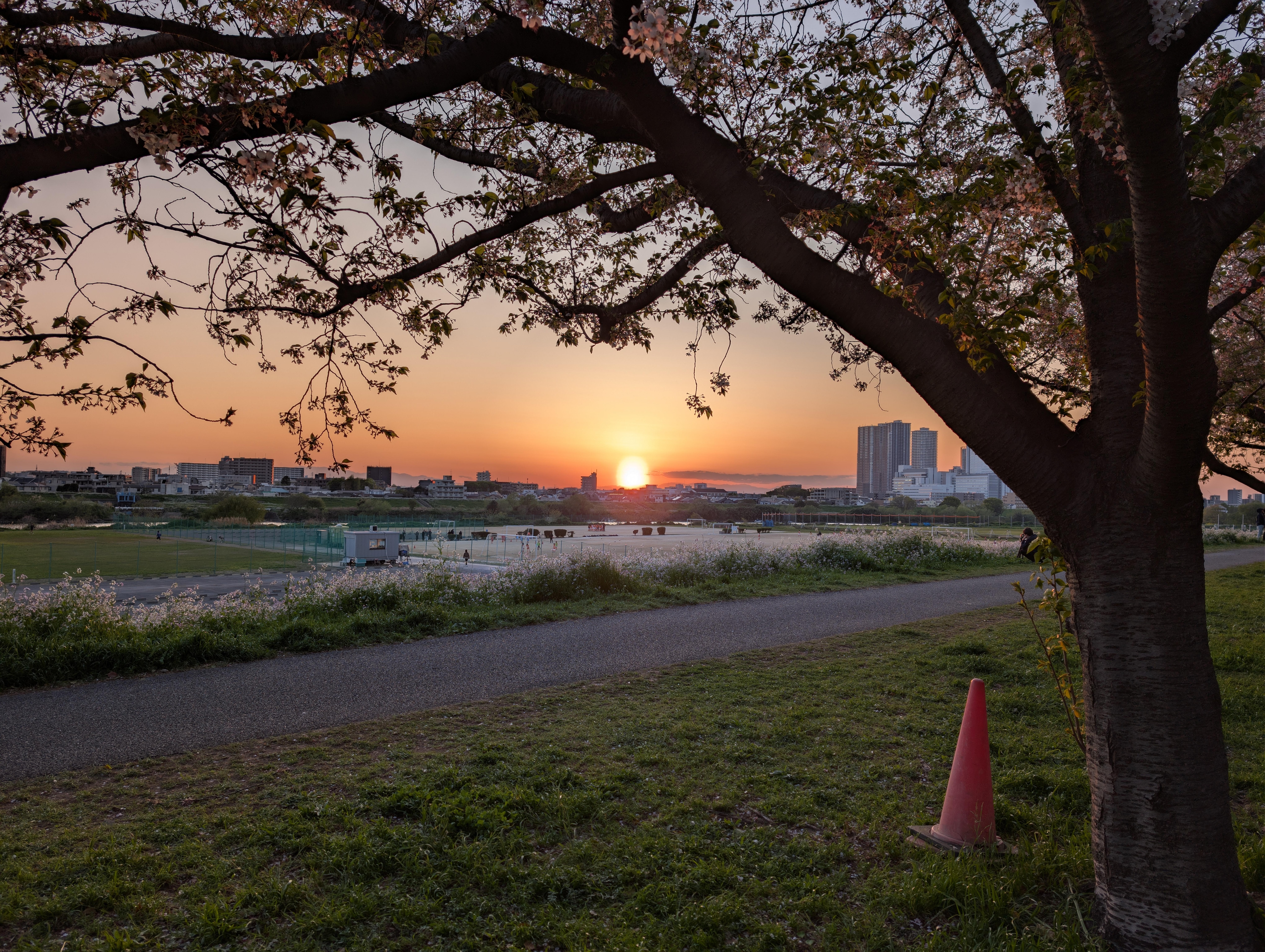 Evening view at the river