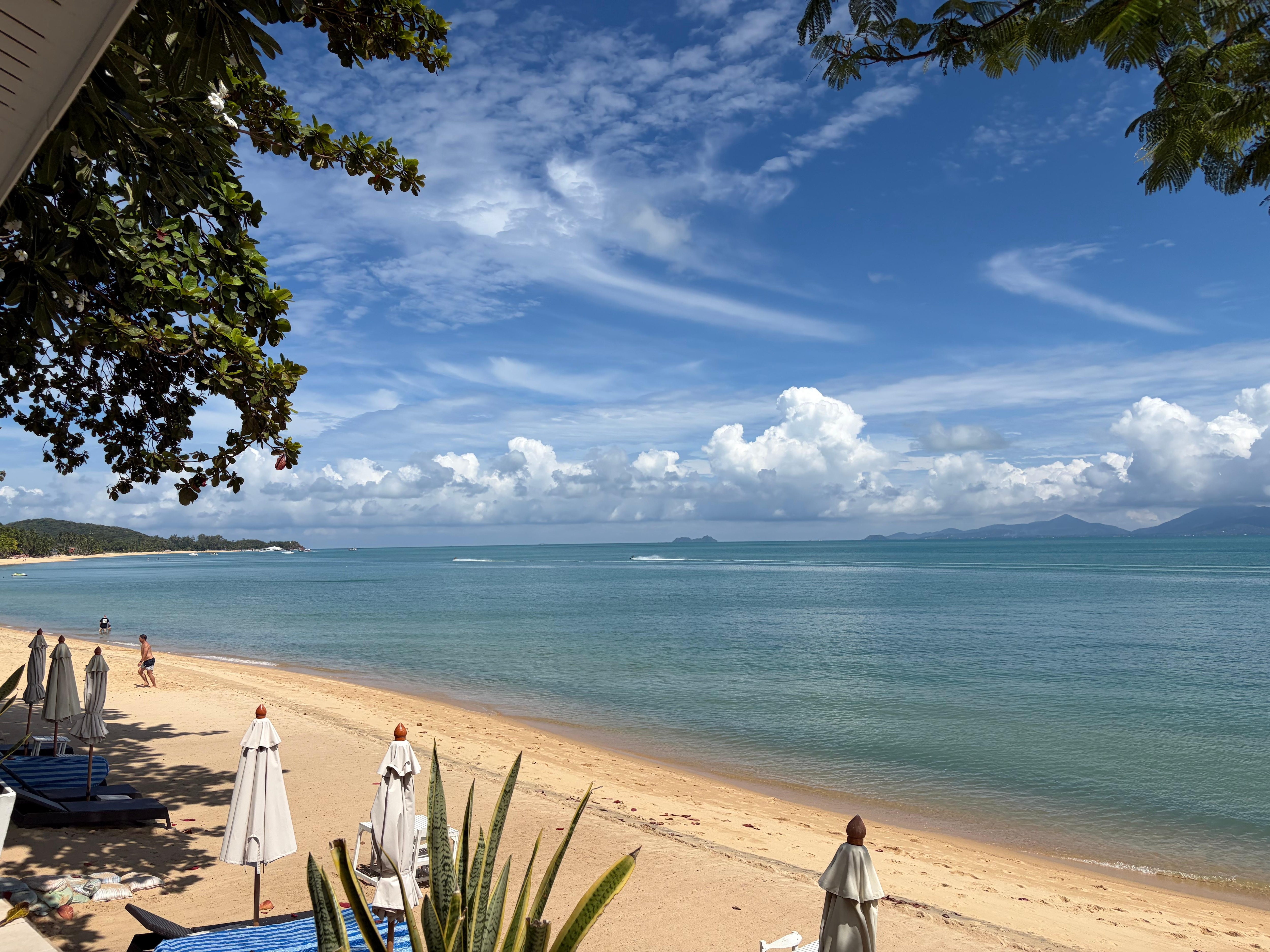 Udsigten fra vores terrasse 