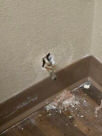 Mice behind Fridge