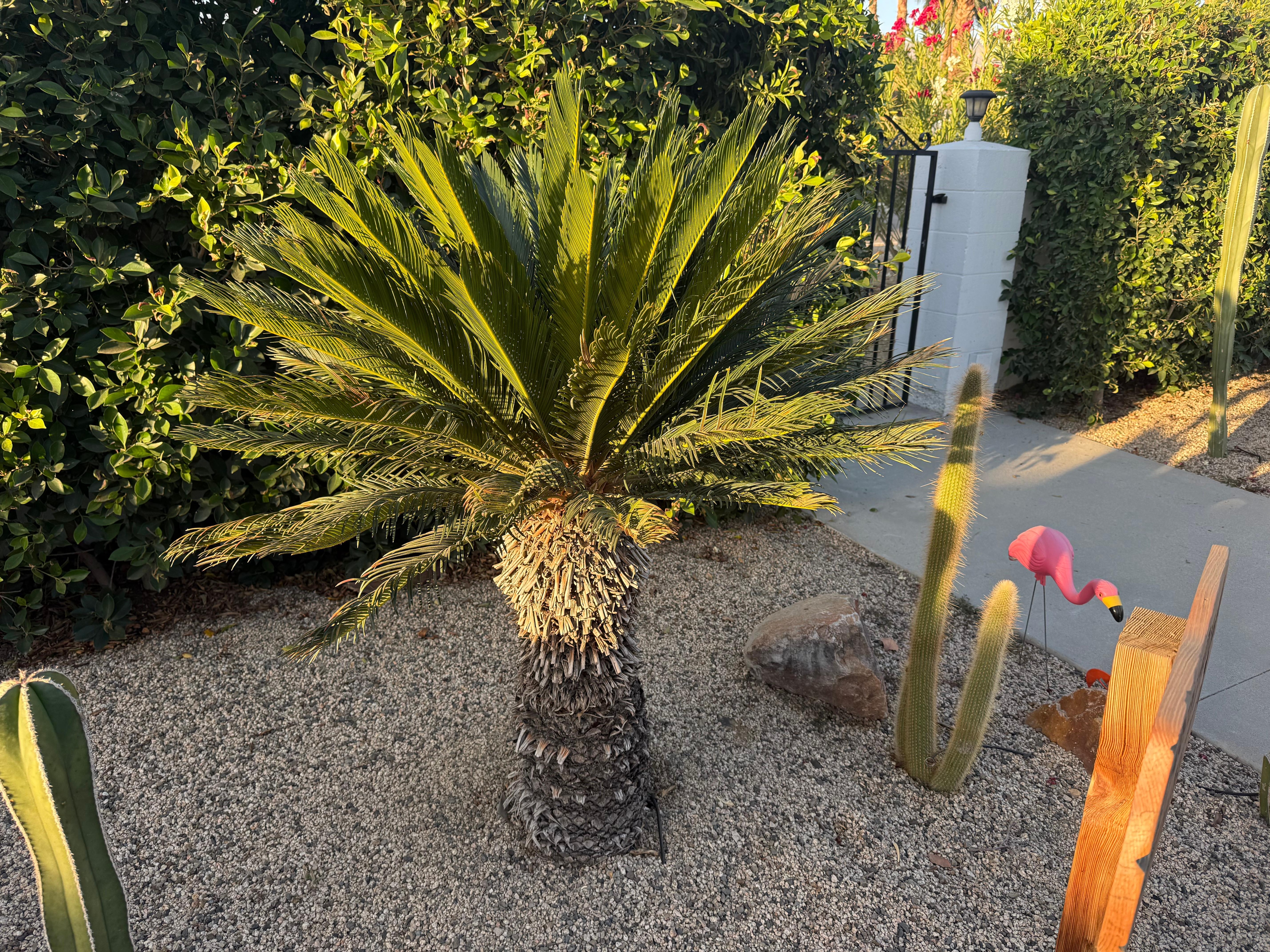 I tried to climb this tree... 3/10 