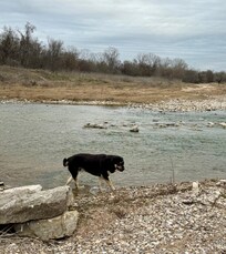 Bob in the Brazos