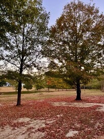 Lovely seating area right out front. Beautiful as the leaves change