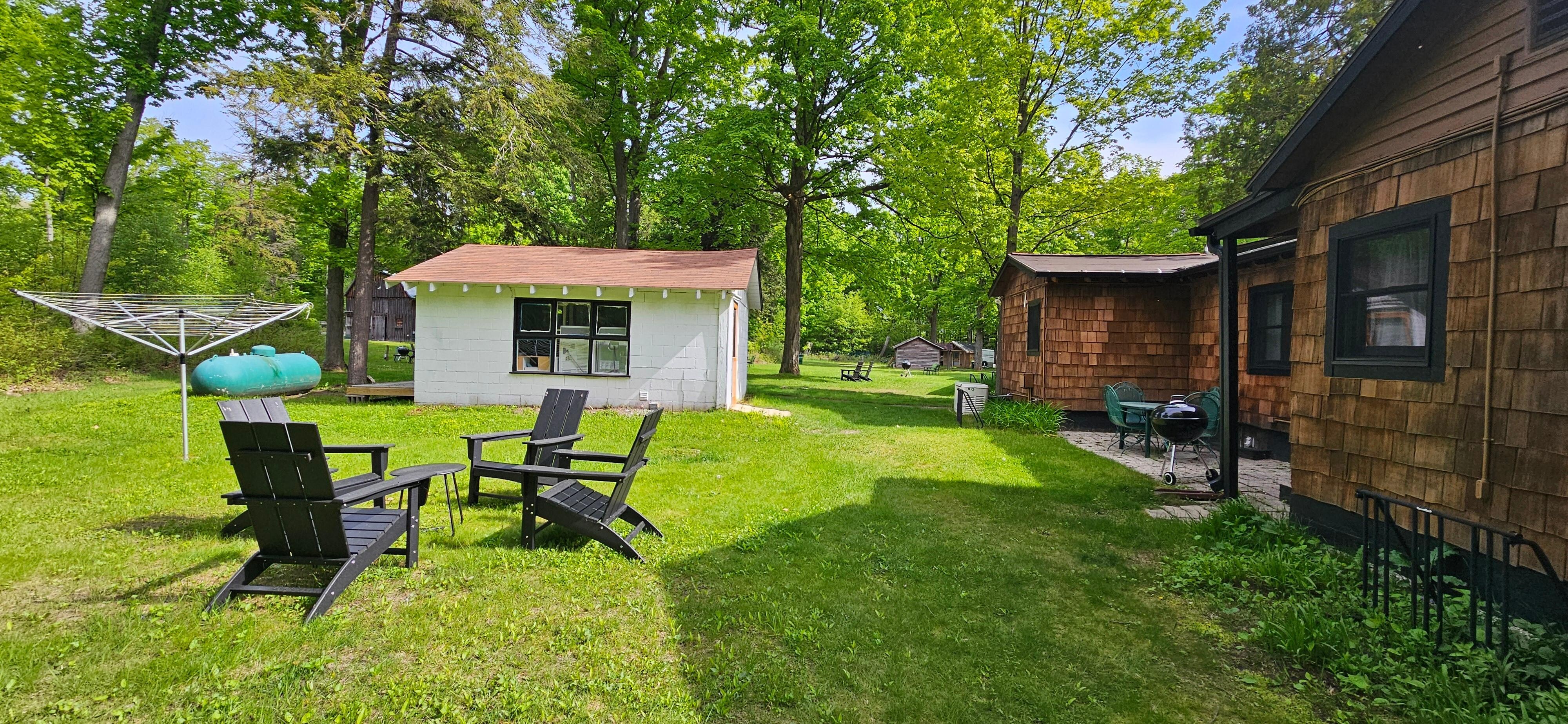 Back yard