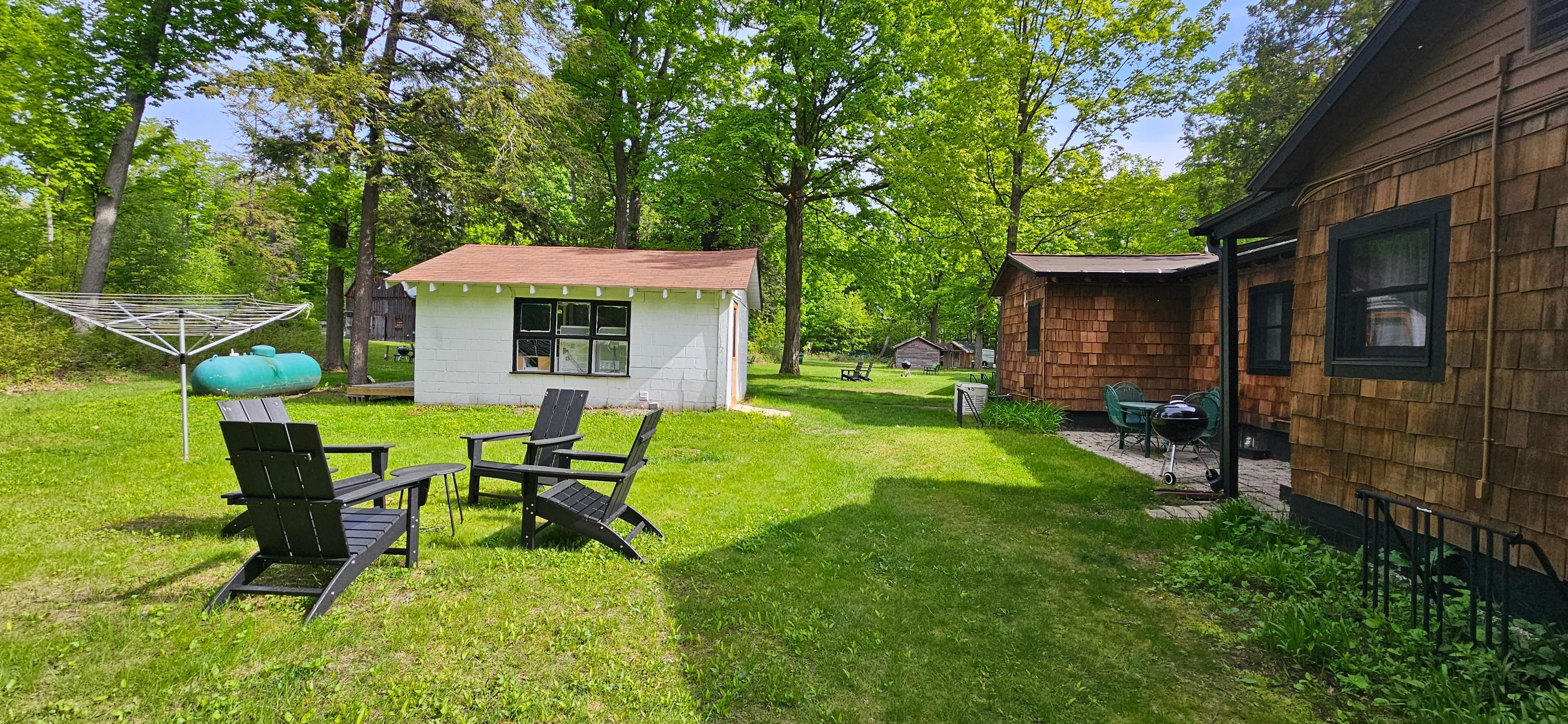 Back yard