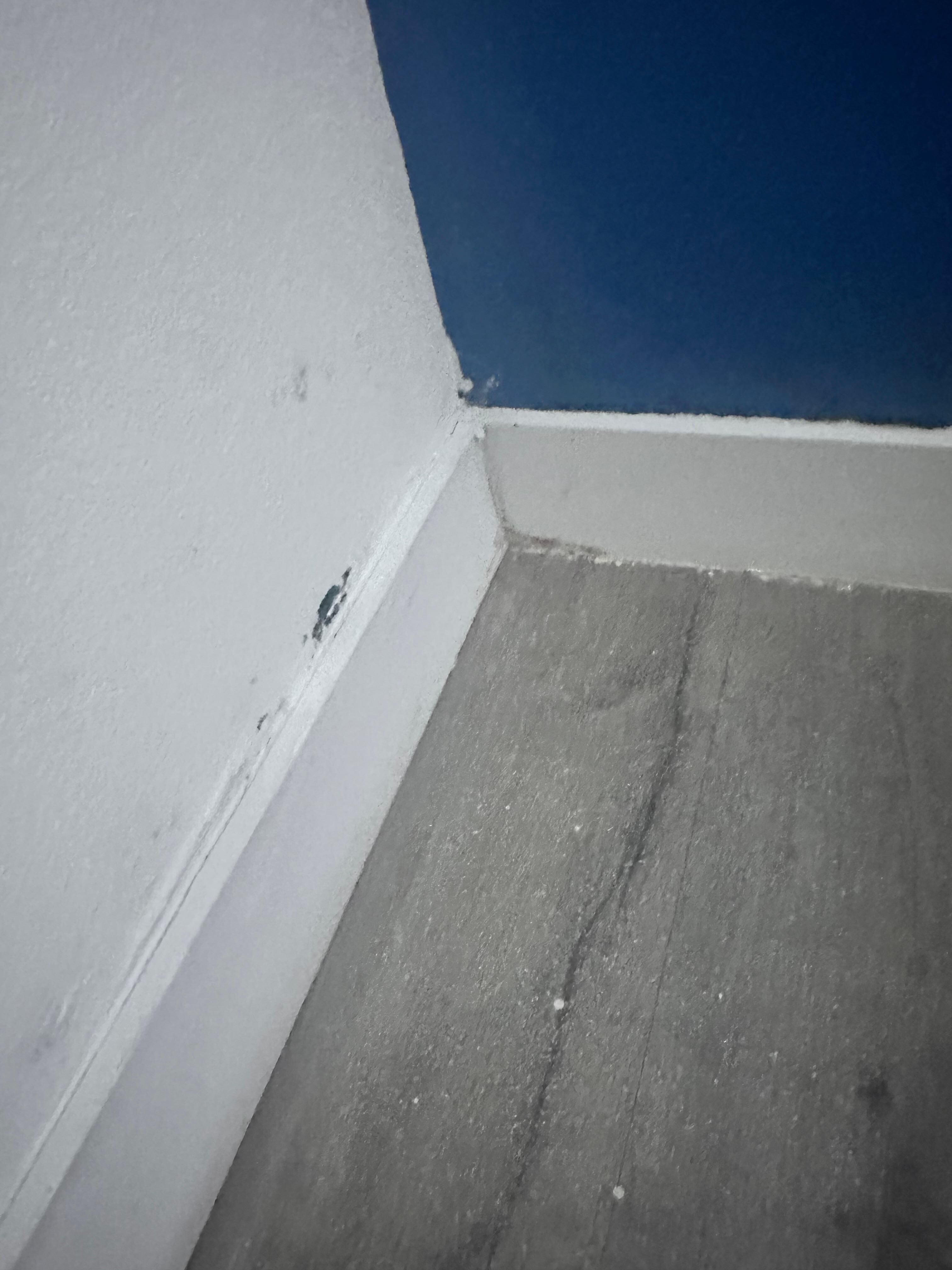 Mold
