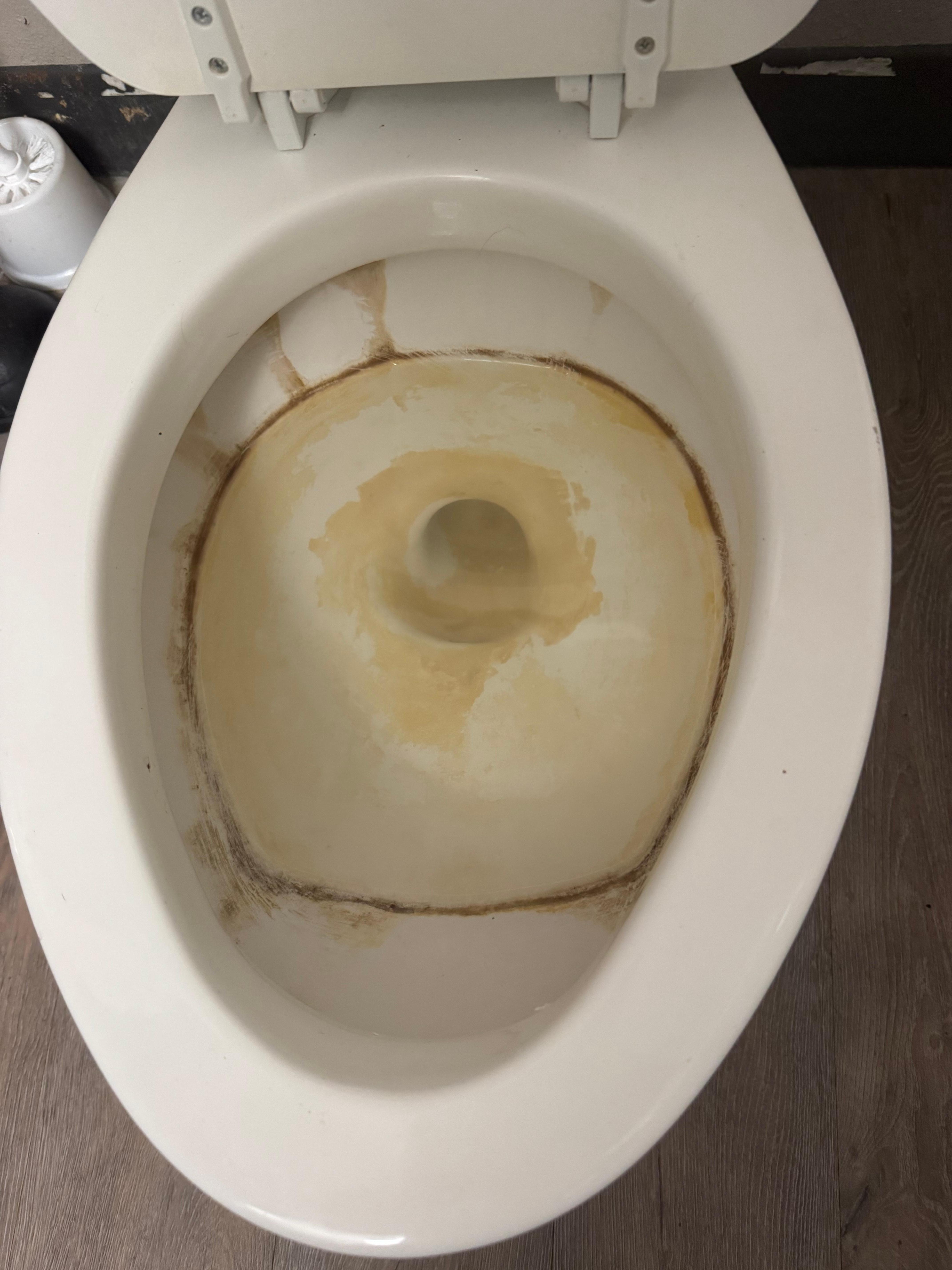 Toilet was disgusting