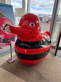 Apex duck