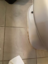 Bottom of toilet