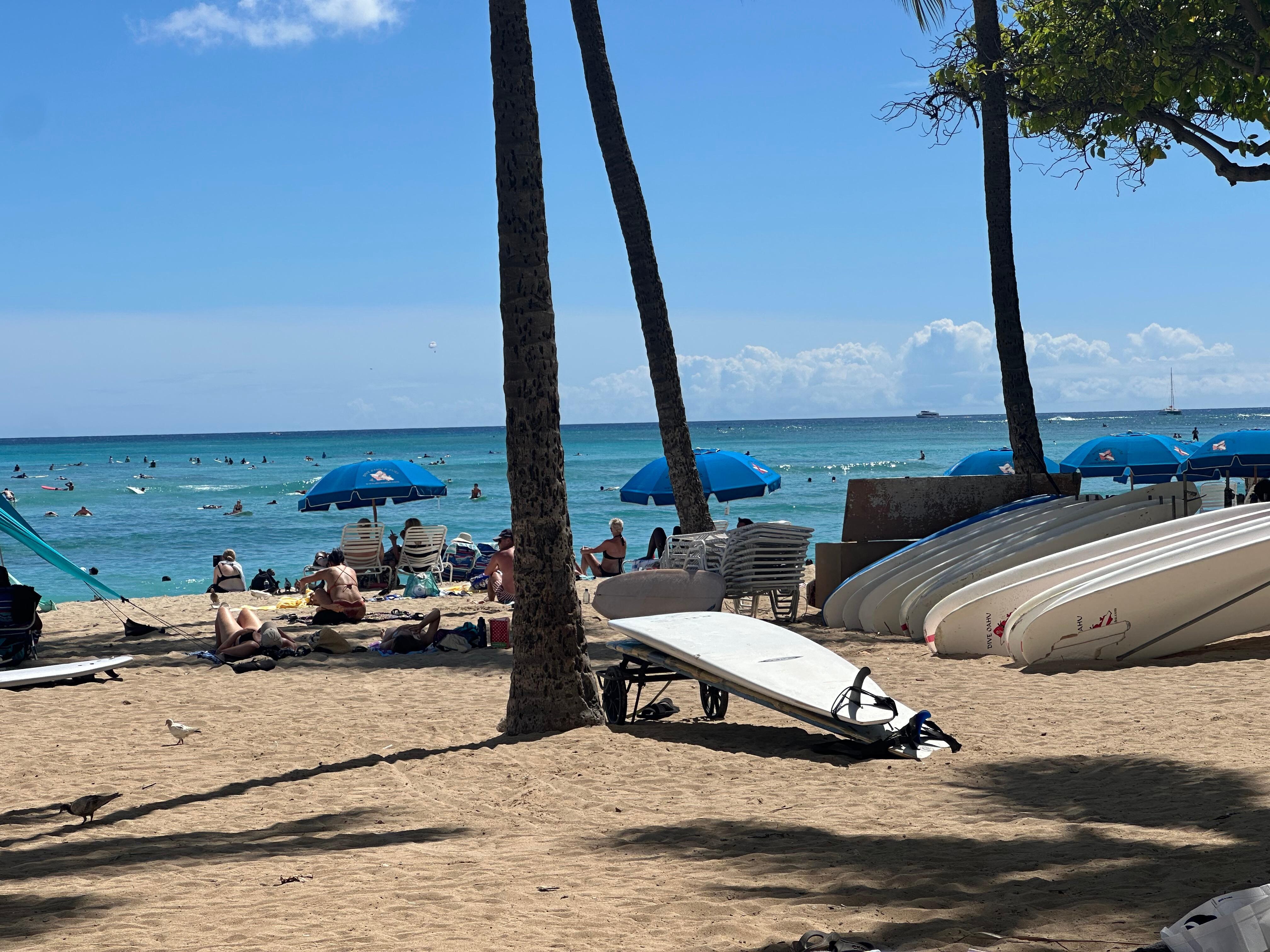 Waikiki beach.