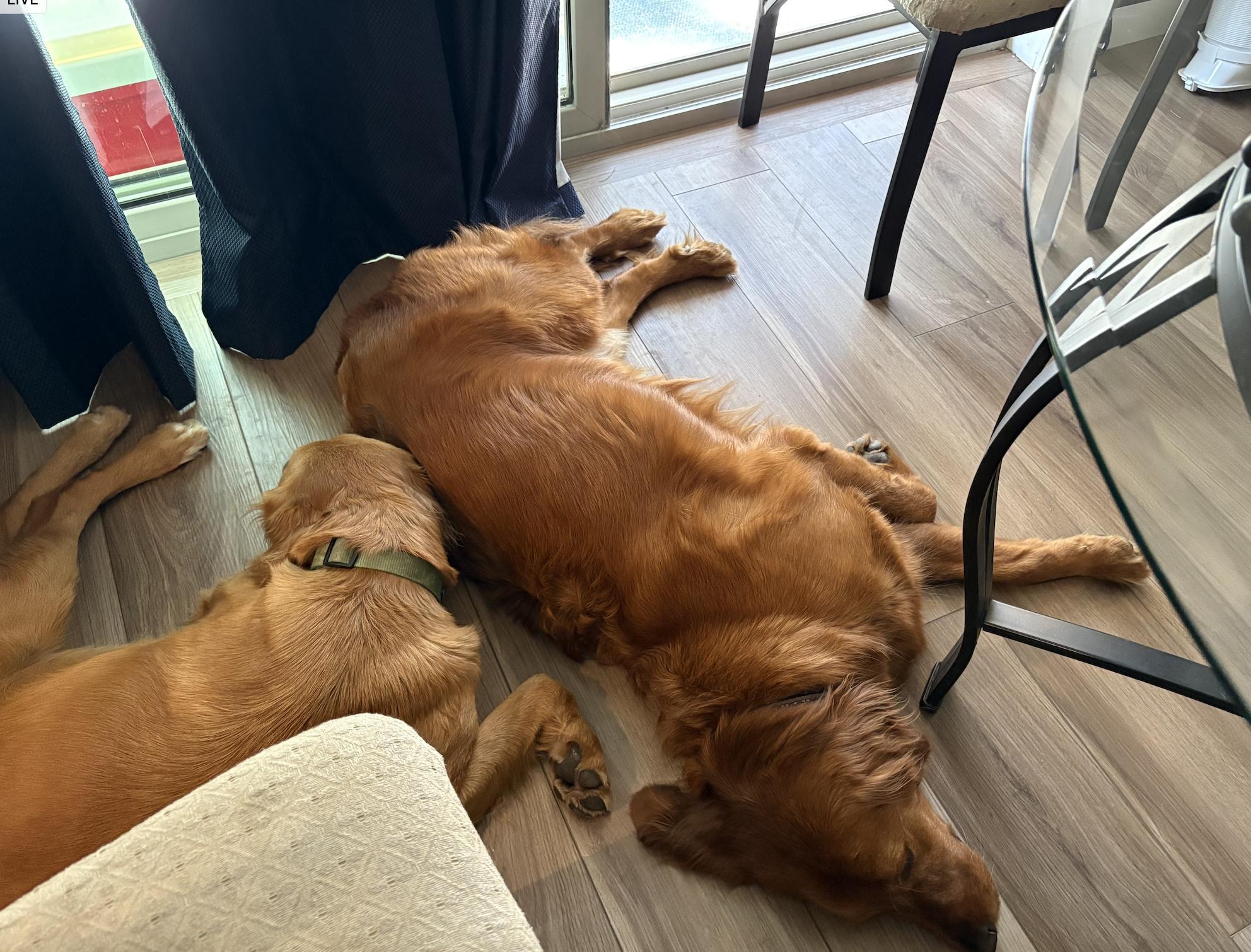 Exhausted from running!