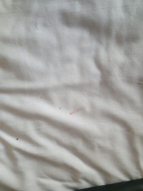 Duvet cover blood stains