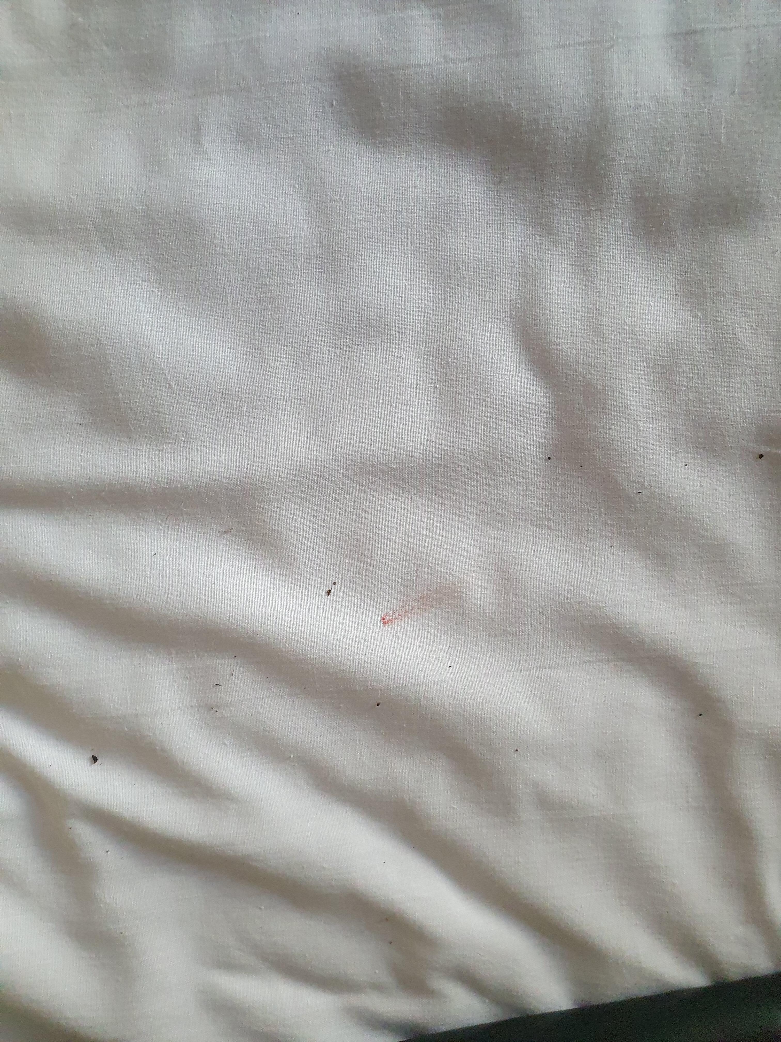 Duvet cover blood stains