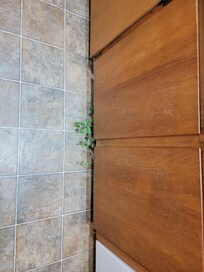 A little greenery growing from under the kitchen cabinets. :)