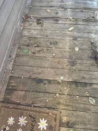 Walkway to door