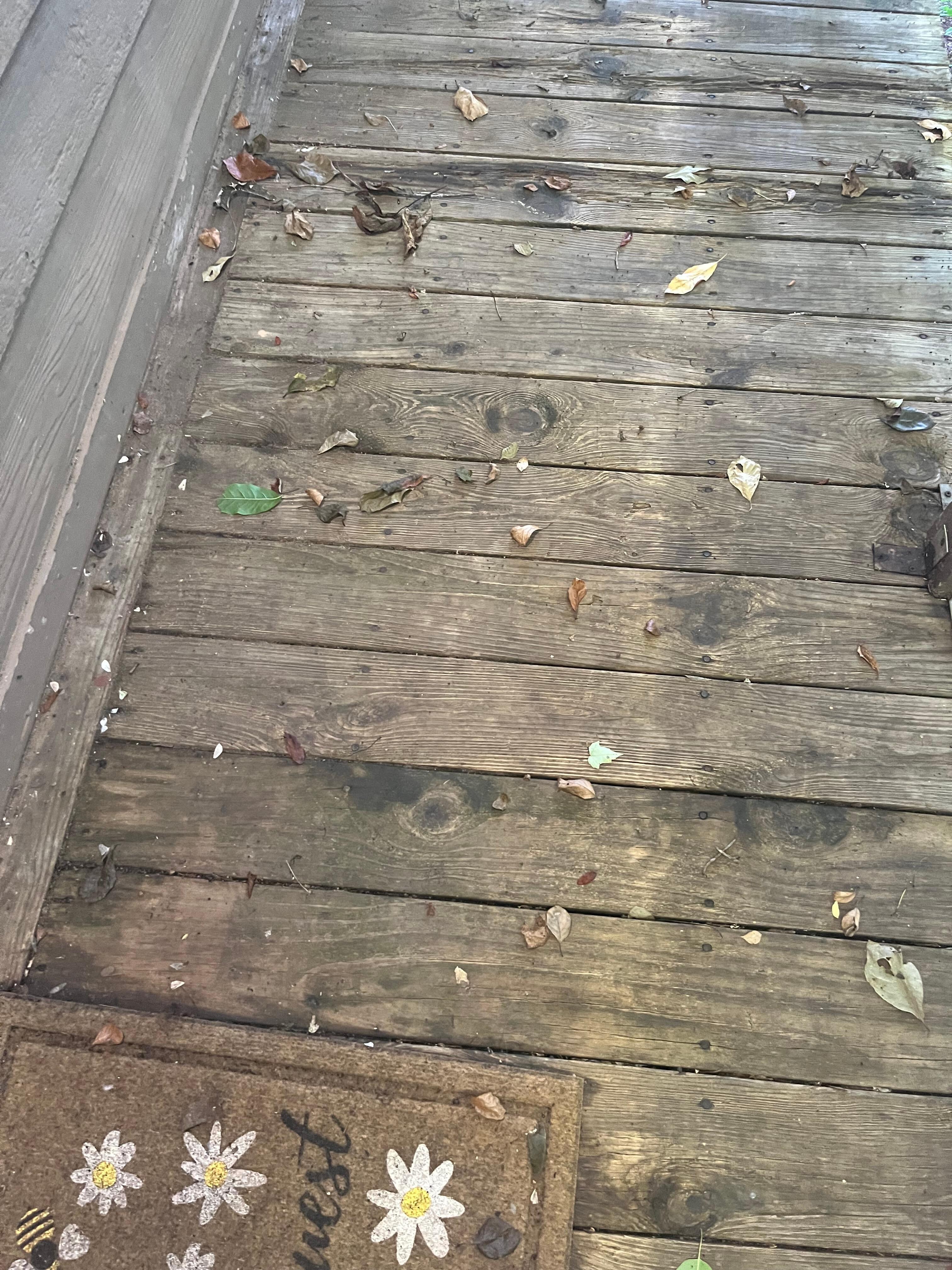 Walkway to door