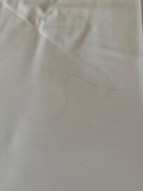Hair on bed in 2nd room