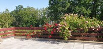 Blick von der schönen Terrasse