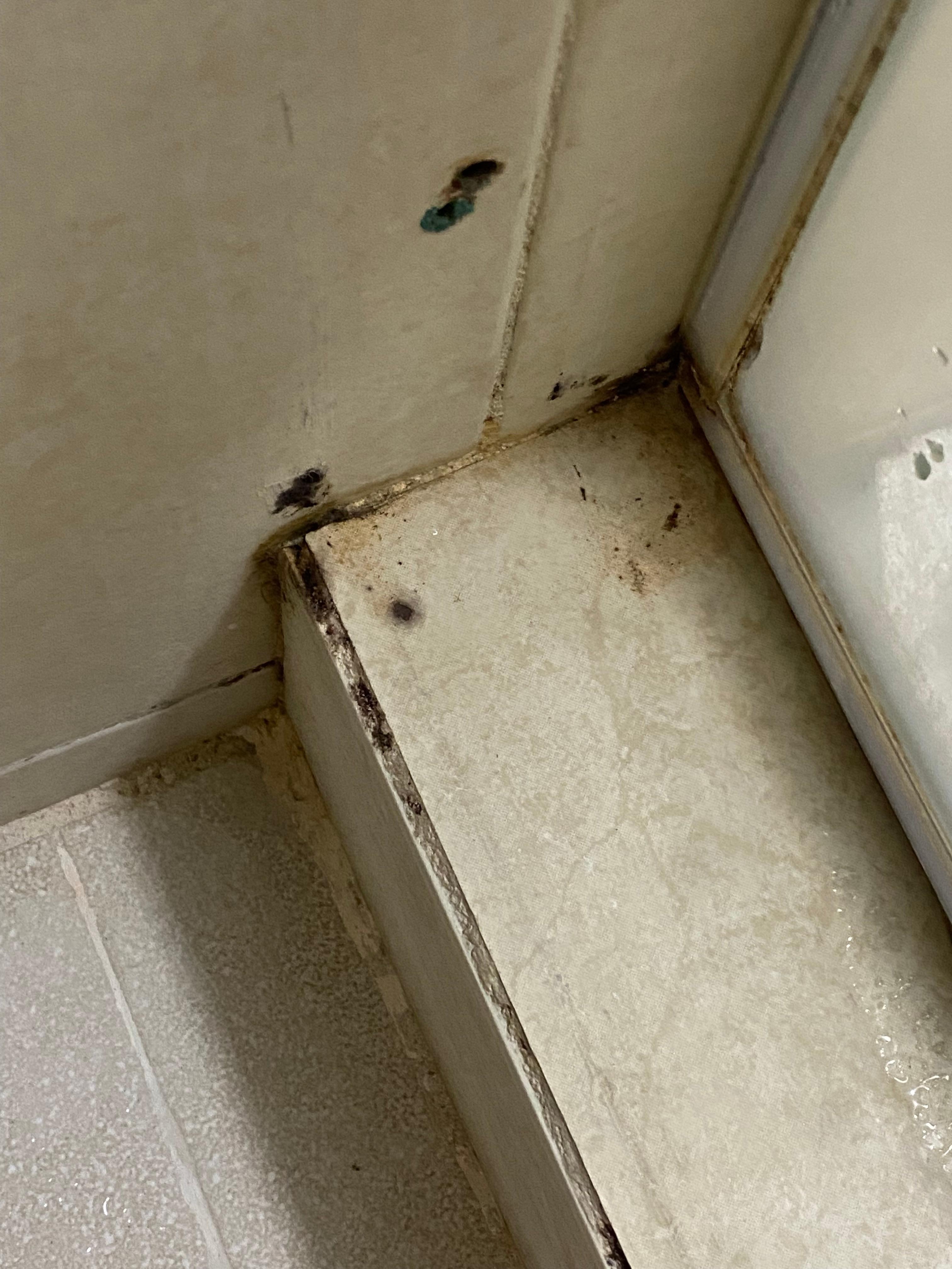 Black mold in the bathroom 